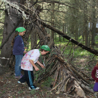 Survival Training